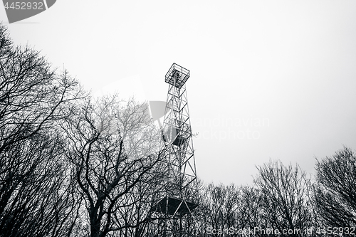 Image of Lighthouse in monochrome colors in a forest