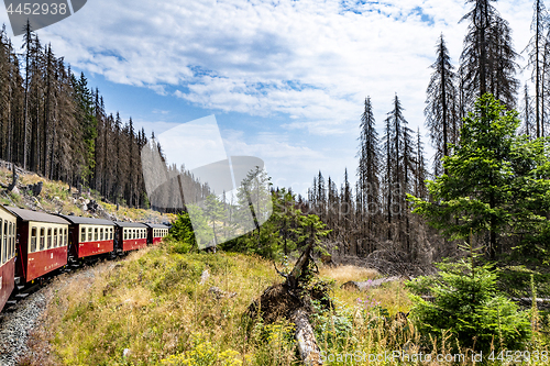 Image of Old train wagons on a railroad in a forest