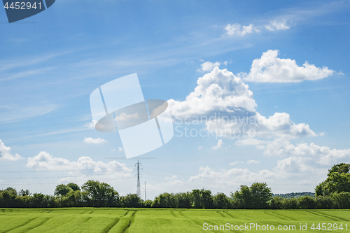 Image of Green fields in a rural countryside landscape