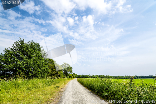 Image of Rural landscape with a nature trail