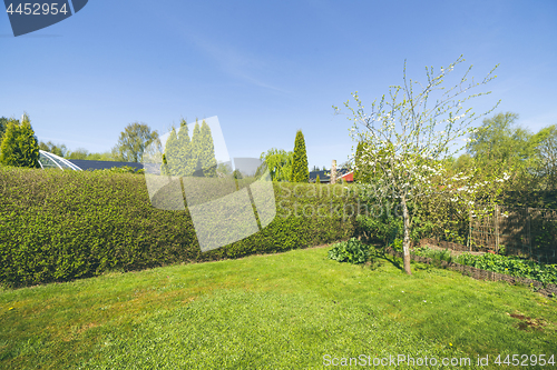 Image of Garden with a lawn and a hedge under a blue sky