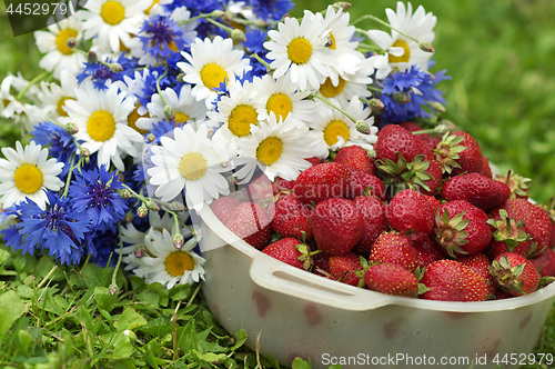 Image of Daisies and strawberries