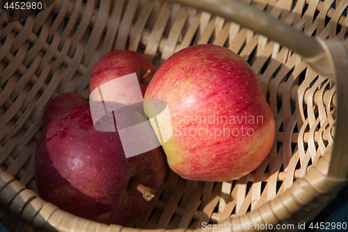 Image of  Ripe red apples in the basket.