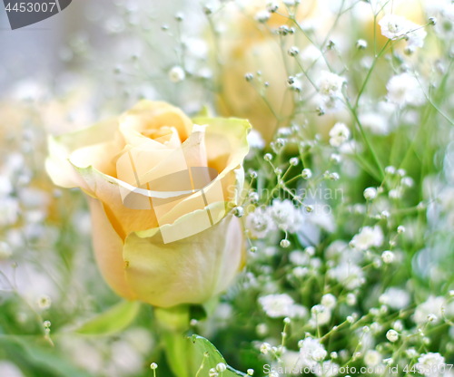 Image of Beautiful bouquet of yellow roses and white little flowers with blur background