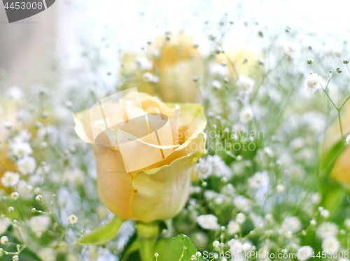 Image of Beautiful bouquet of yellow roses and white little flowers with blur background