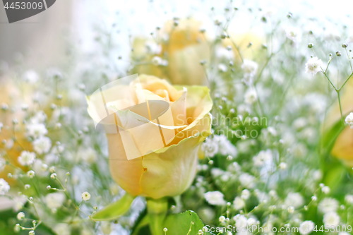 Image of Beautiful bouquet of yellow roses and white little flowers with blur background