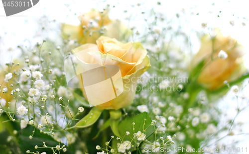 Image of Beautiful bouquet of yellow roses and white little flowers with blur background