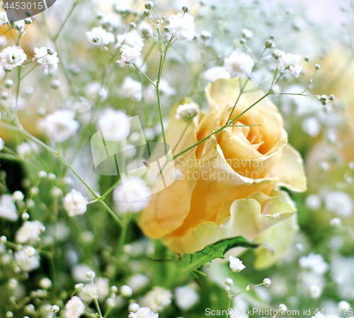 Image of Beautiful bouquet of yellow roses and white little flowers with blur background