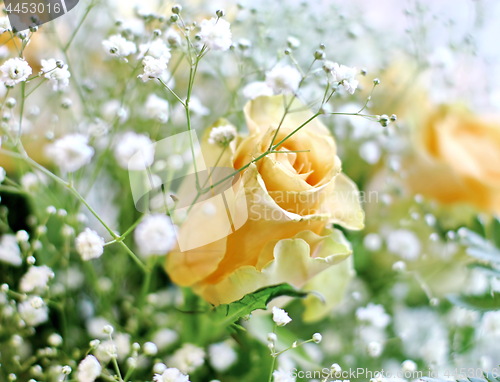 Image of Beautiful bouquet of yellow roses and white little flowers with blur background