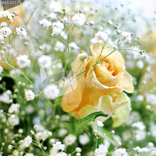 Image of Beautiful bouquet of yellow roses and white little flowers with blur background