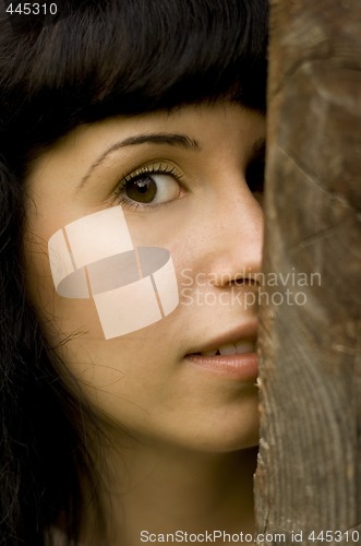 Image of girl hiding behind a tree