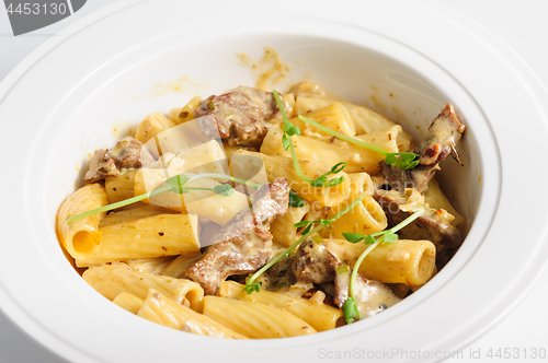 Image of penne pasta with veal meat