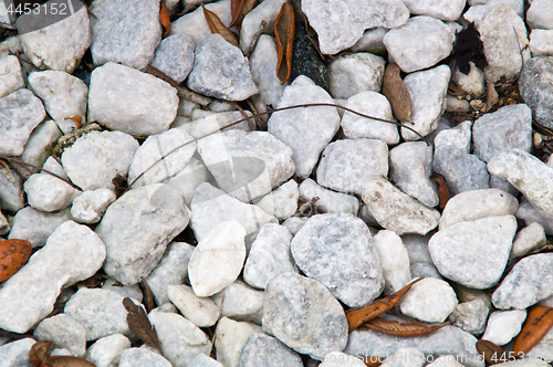 Image of White Stone Background with leaves