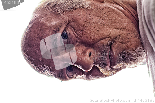 Image of HDR portrait of unshaven older man bent over