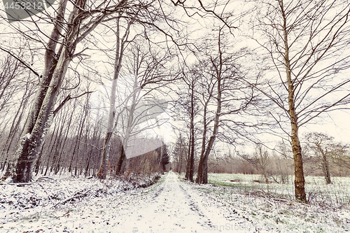 Image of Winter landscape with a road covered with snow