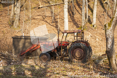 Image of Red old tractor abandoned in a forest