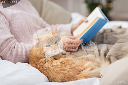 Image of red cat and female owner reading book at home