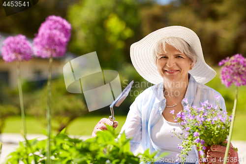 Image of senior woman planting flowers at summer garden