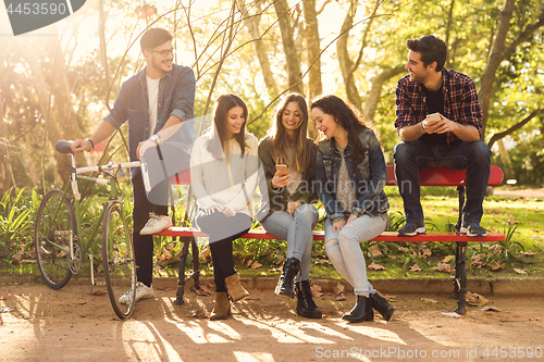 Image of Students in the park