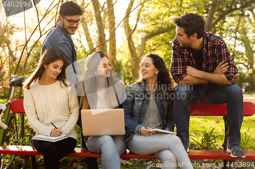 Image of Students in the park