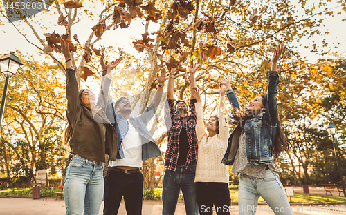 Image of Friends having fun throwing leaves in the air