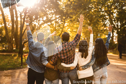 Image of Group of friends in the park