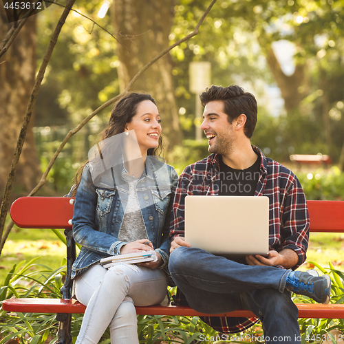 Image of Friends studying in the park