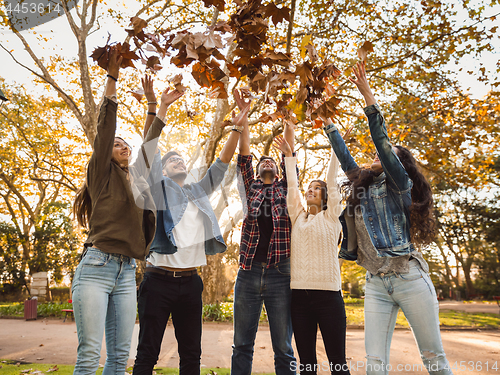 Image of Friends having fun throwing leaves in the air