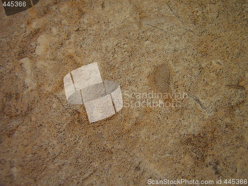 Image of Close-up photo of sandstone