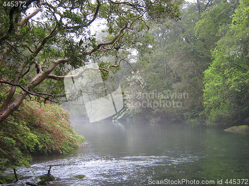 Image of South American river