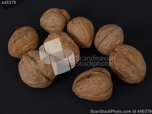 Image of Walnuts on Black