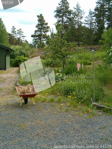 Image of Grandmother's Weelbarrow