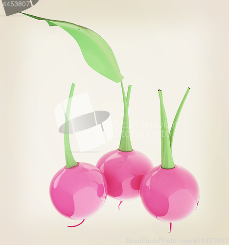 Image of Small garden radish isolated on white background. 3d illustratio