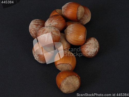 Image of Hazelnuts on Black