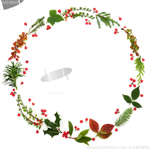 Image of Winter Flora Wreath Garland