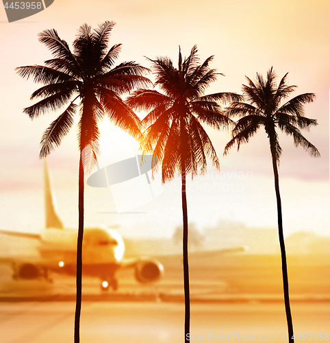 Image of palms and airport
