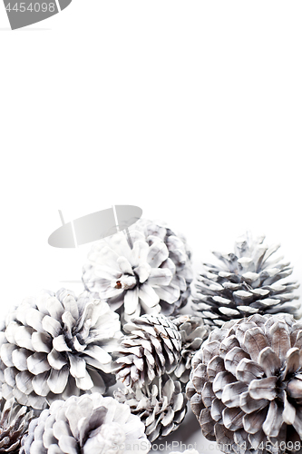 Image of White decorative pine cones.