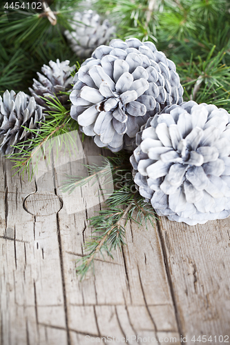 Image of  Evergreen fir tree branch and white pine cones.