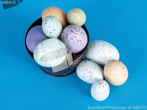 Image of Speckled Eggs on Blue