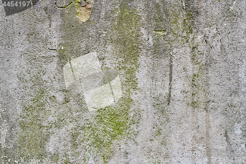 Image of Old gray stone wall with green moss