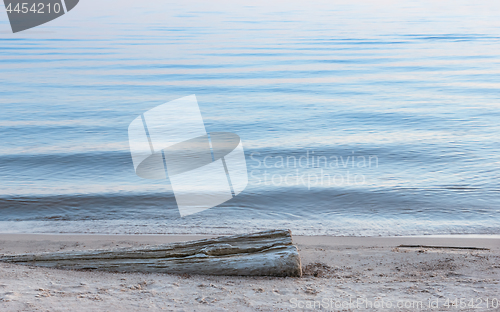 Image of Dry Log On The Sand At The Water's Edge