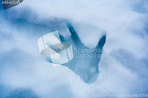 Image of Hand print in fresh snow