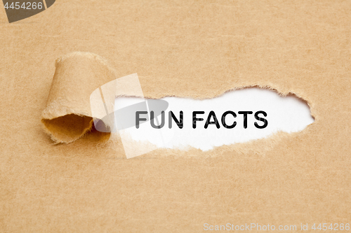 Image of Fun Facts Torn Paper Concept