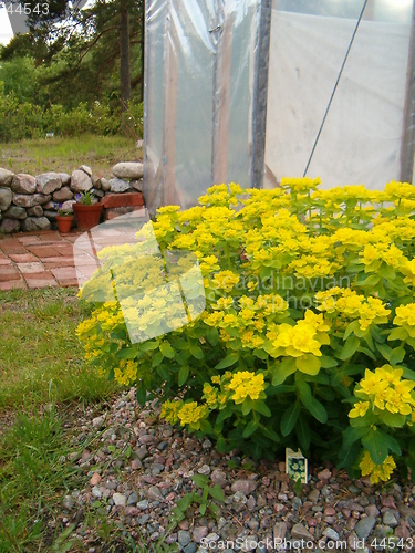 Image of The Greenhouse