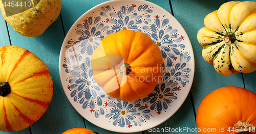 Image of Pumpkins laid on plate and near