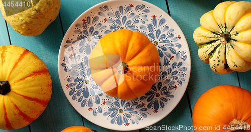 Image of Pumpkins laid on plate and near