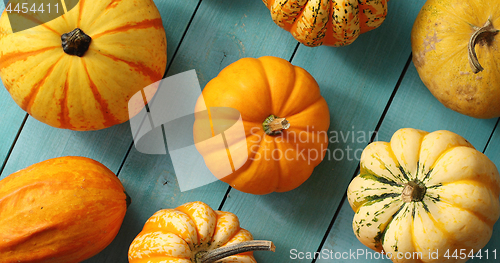 Image of Orange pumpkins laid in lines