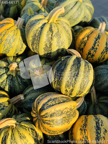 Image of Halloween Pumpkins in market in a large pile