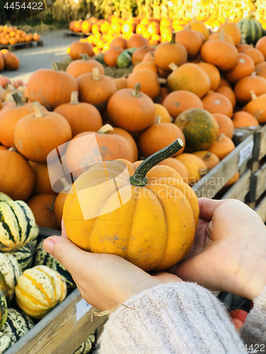 Image of Woman holding orange pumpkin in her hands.