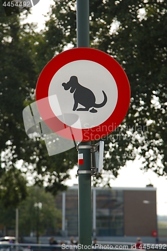 Image of Dogs sign in park